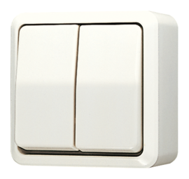 Выключатель 1-клавишный JUNG WG600, открытый монтаж, бежевый