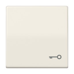 Клавиша JUNG AS 500, бежевый