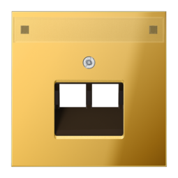 JUNG LS 990 Блеск золота Накладка 2-ой наклонной ТЛФ/комп розетки с полем для надписи