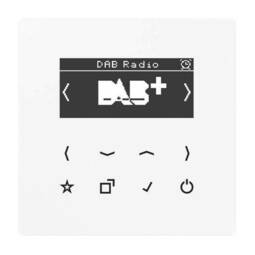 Цифровое радио Jung LS 990, с дисплеем, электронный, белый, DABLSWW